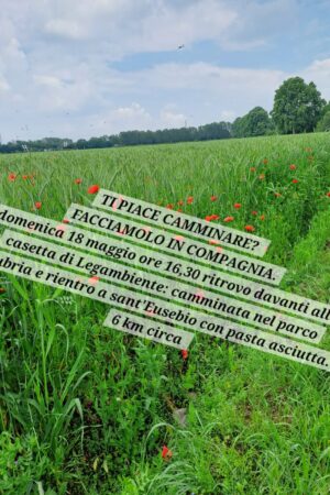 TI PIACE CAMMINARE?  UNA PASSEGGIATA IN COMPAGNIA NEL PARCO GRUBIA – DOMENICA 18 MAGGIO ORE 16:30